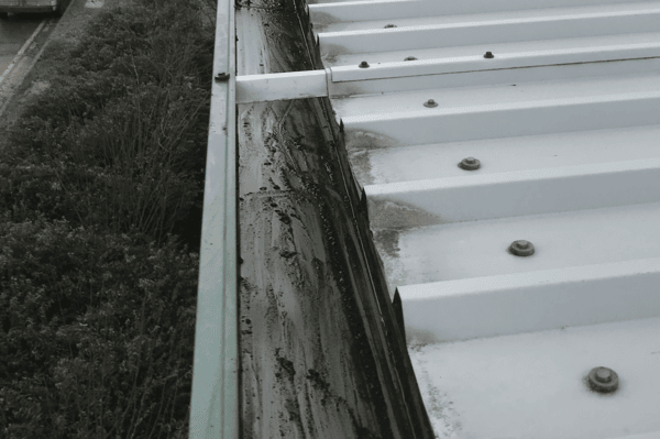 Commercial gutter cleaning specialists in Newbury